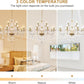 Modern 15 Lights Chandelier Golden Pendant European Style